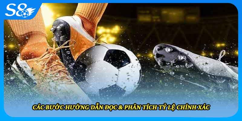 Các bước hướng dẫn đọc & phân tích tỷ lệ chính xác