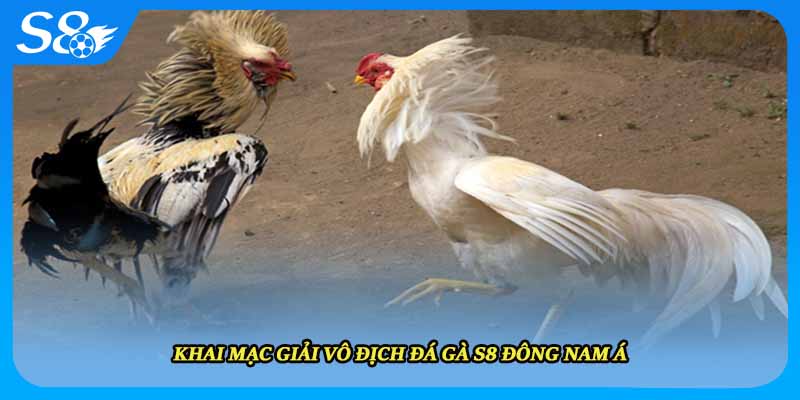 Khai mạc giải vô địch đá gà S8 Đông Nam Á